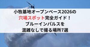 小牧基地オープンベース2026の穴場スポット完全ガイド！ブルーインパルスを混雑なしで撮る場所7選